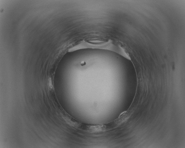 X0000076430089200610271744