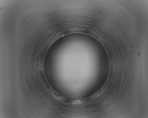 X0000076430091200610271744