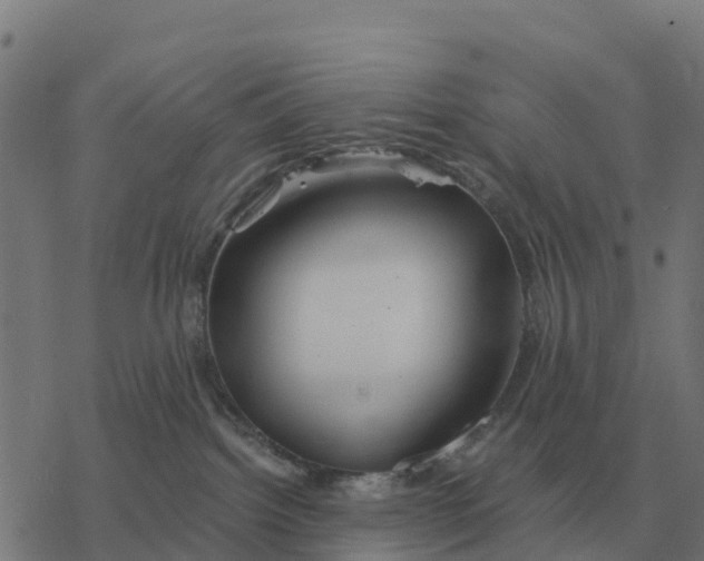 X0000076430092200610271744