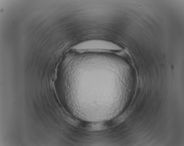 X0000076430093200610271744