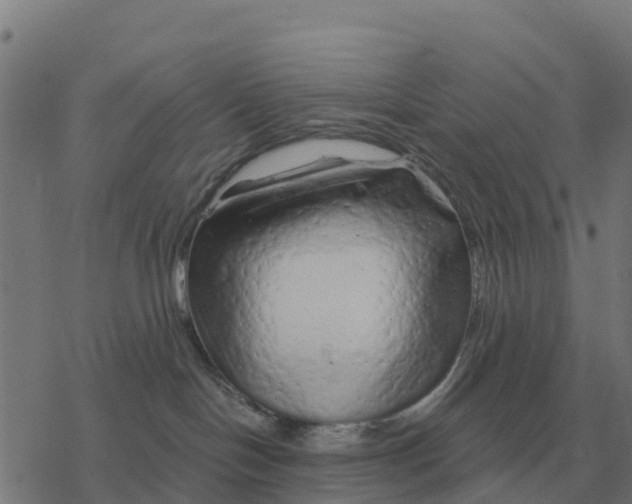 X0000076430094200610271744