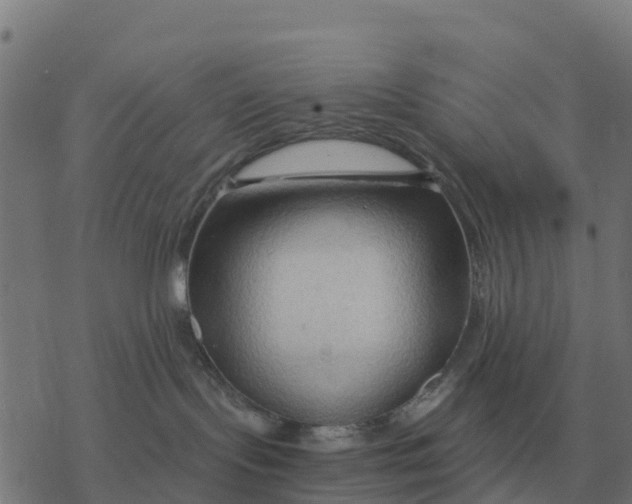 X0000076430095200610271744