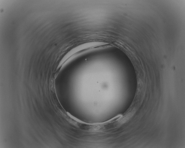 X0000076430096200610271744