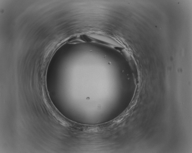 X0000076430097200610271743