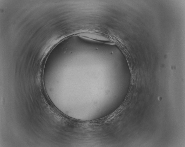 X0000076430098200610271743