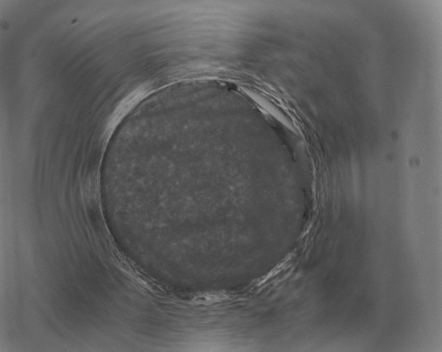 X0000076430099200610271743