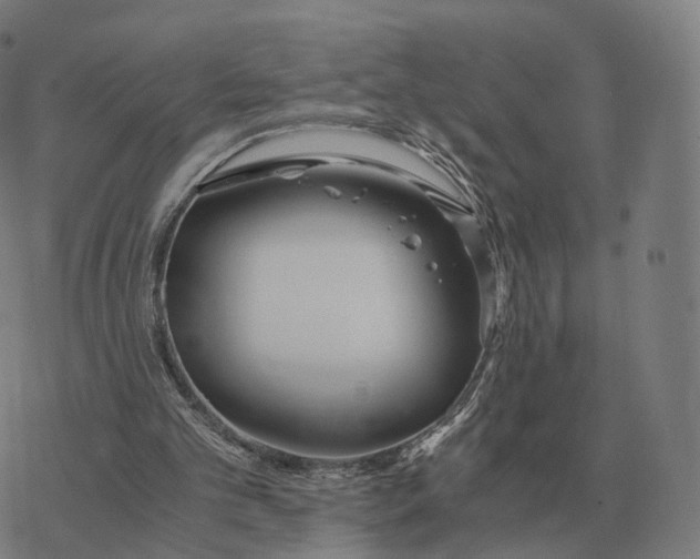 X0000076430101200610271743