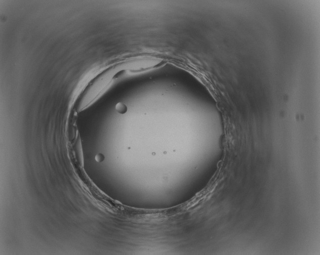 X0000076430102200610271743