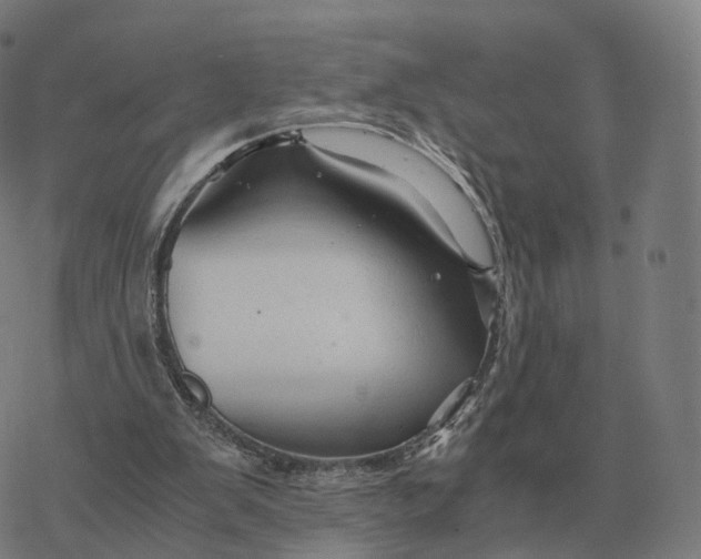 X0000076430103200610271743