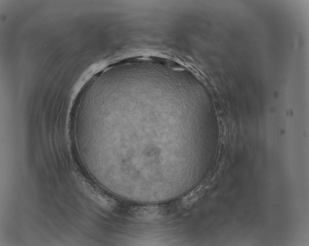 X0000076430104200610271743