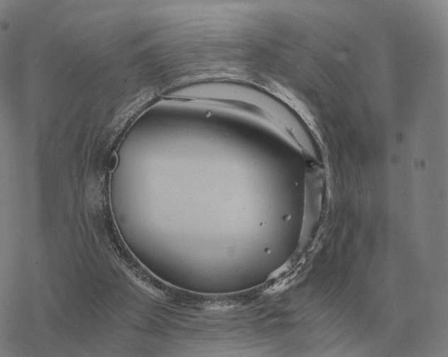 X0000076430105200610271743