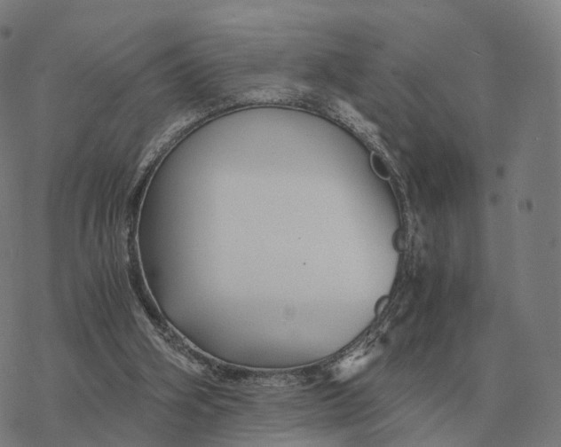 X0000076430106200610271743