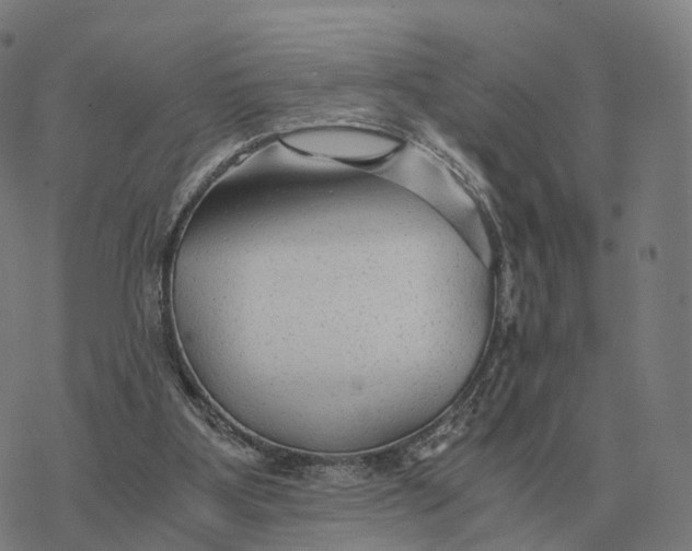 X0000076430107200610271743