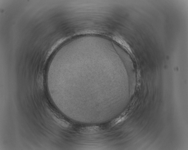 X0000076430108200610271743