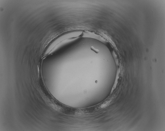 X0000076430109200610271743