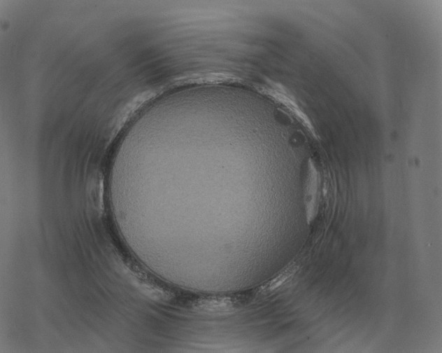 X0000076430110200610271743