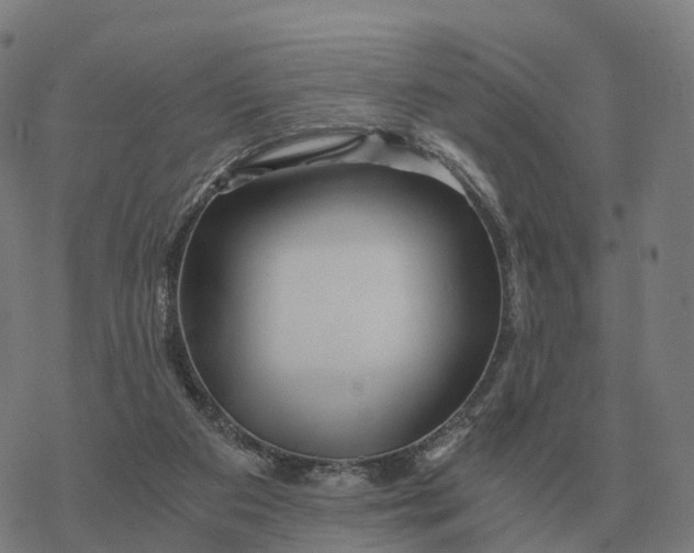 X0000076430113200610271743