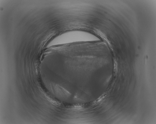 X0000076430114200610271743