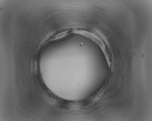 X0000076430115200610271743