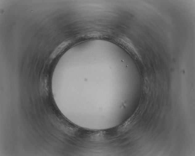 X0000076430116200610271743