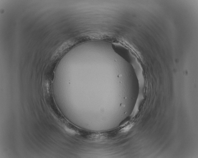 X0000076430117200610271743