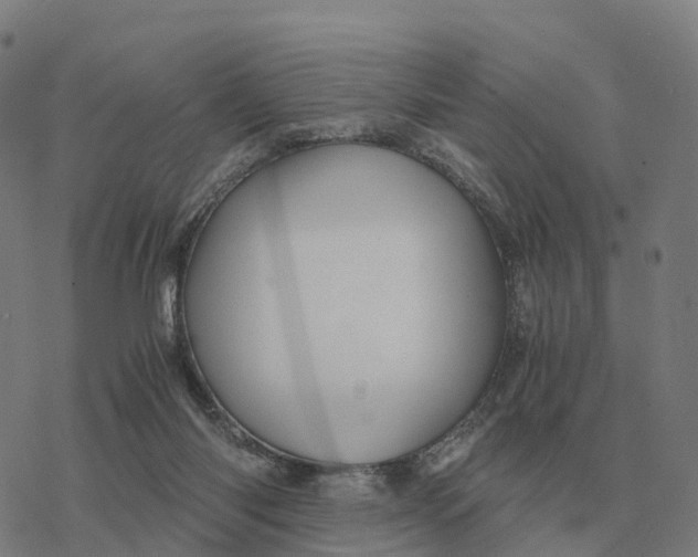 X0000076430118200610271743