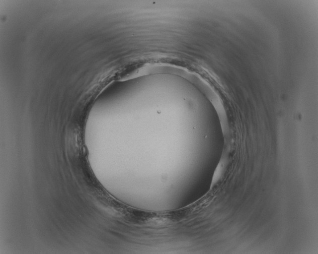 X0000076430119200610271743