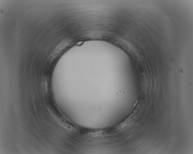 X0000076430120200610271743