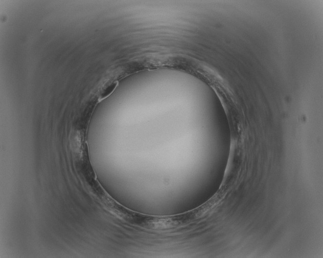 X0000076430121200610271743