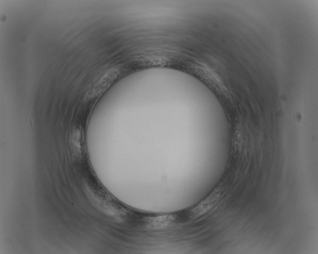 X0000076430122200610271743