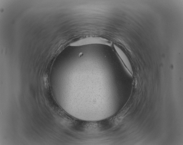 X0000076430123200610271743