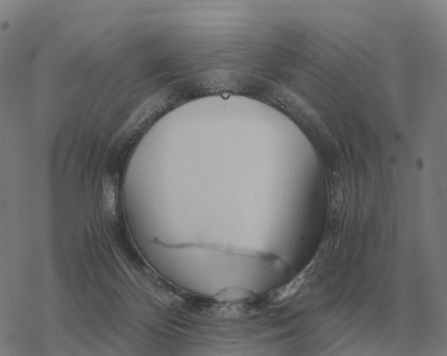 X0000076430124200610271743