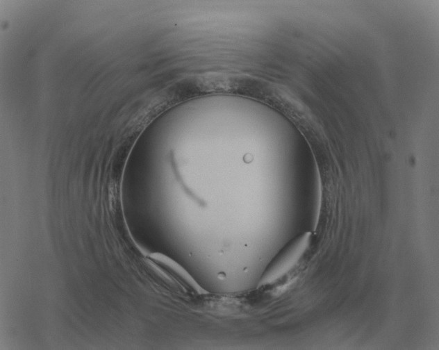 X0000076430125200610271743