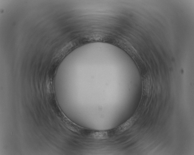 X0000076430126200610271743