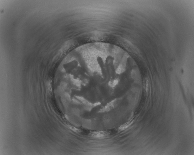 X0000076430127200610271743