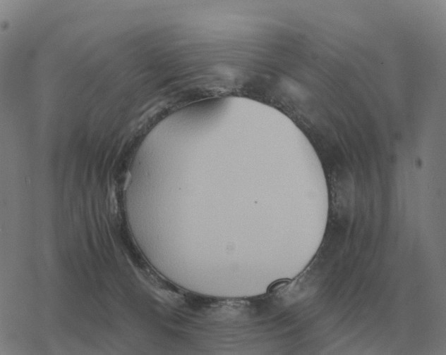 X0000076430128200610271743