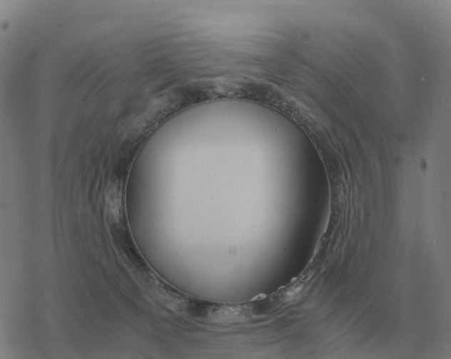 X0000076430129200610271743