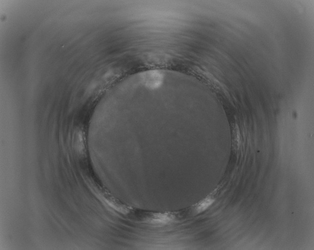 X0000076430130200610271743