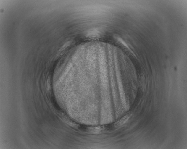 X0000076430131200610271743