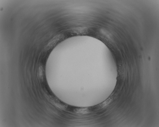 X0000076430132200610271743