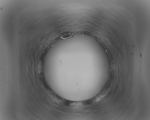 X0000076430133200610271743