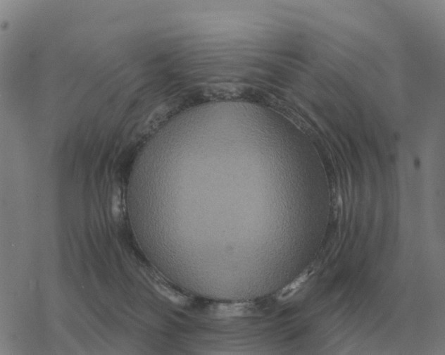 X0000076430134200610271743