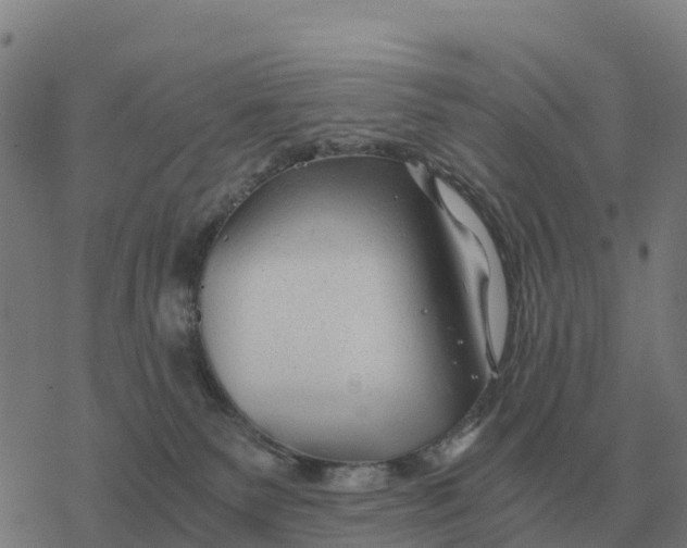 X0000076430135200610271743