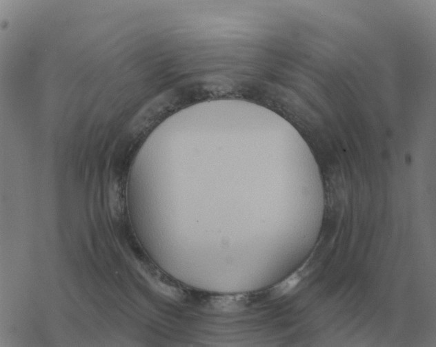 X0000076430136200610271743