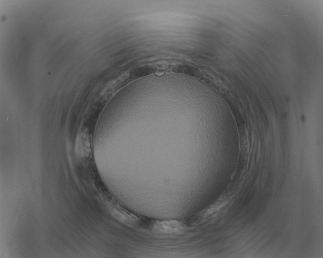 X0000076430137200610271743