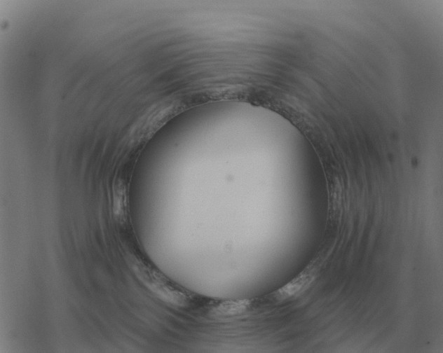 X0000076430138200610271743