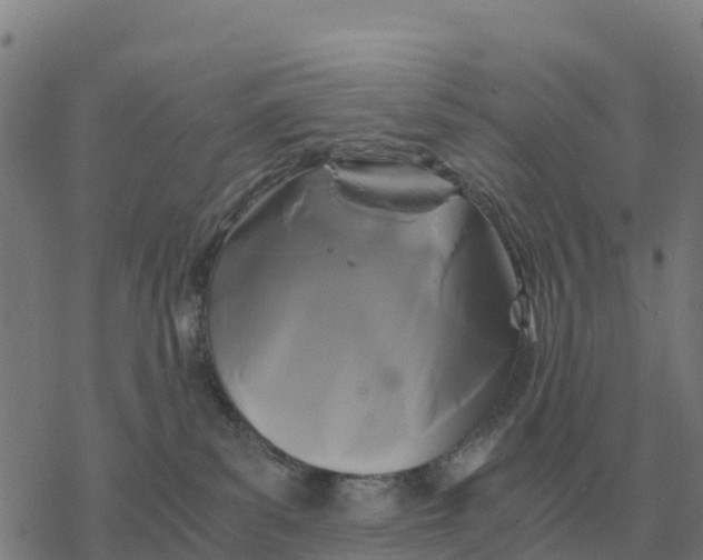 X0000076430139200610271743