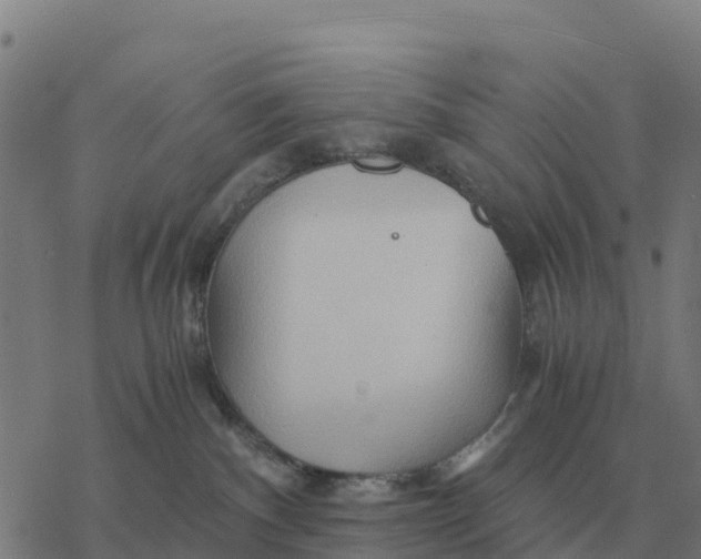 X0000076430140200610271743