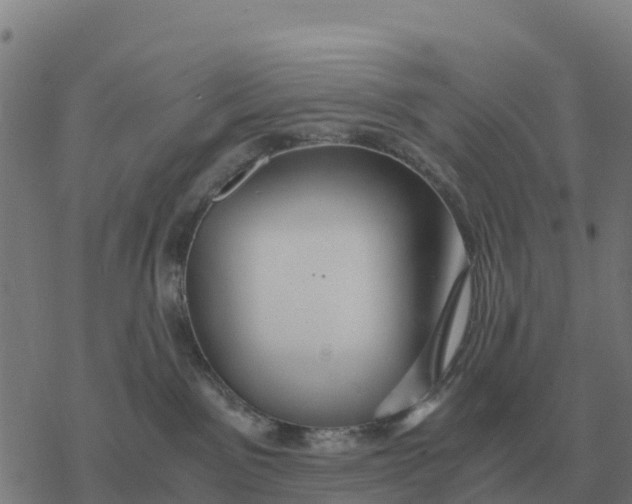 X0000076430141200610271742