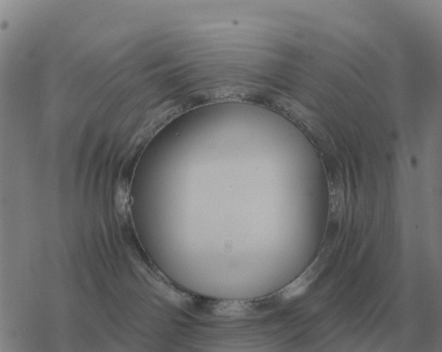 X0000076430142200610271742